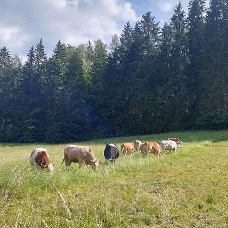 Ferienhaus Rosemarie Erlbach Vogtland Luaran gambar